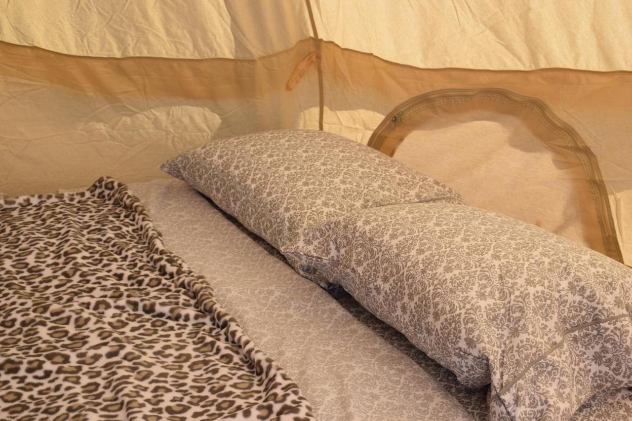Starlight Tent 3 Holbrook Dış mekan fotoğraf