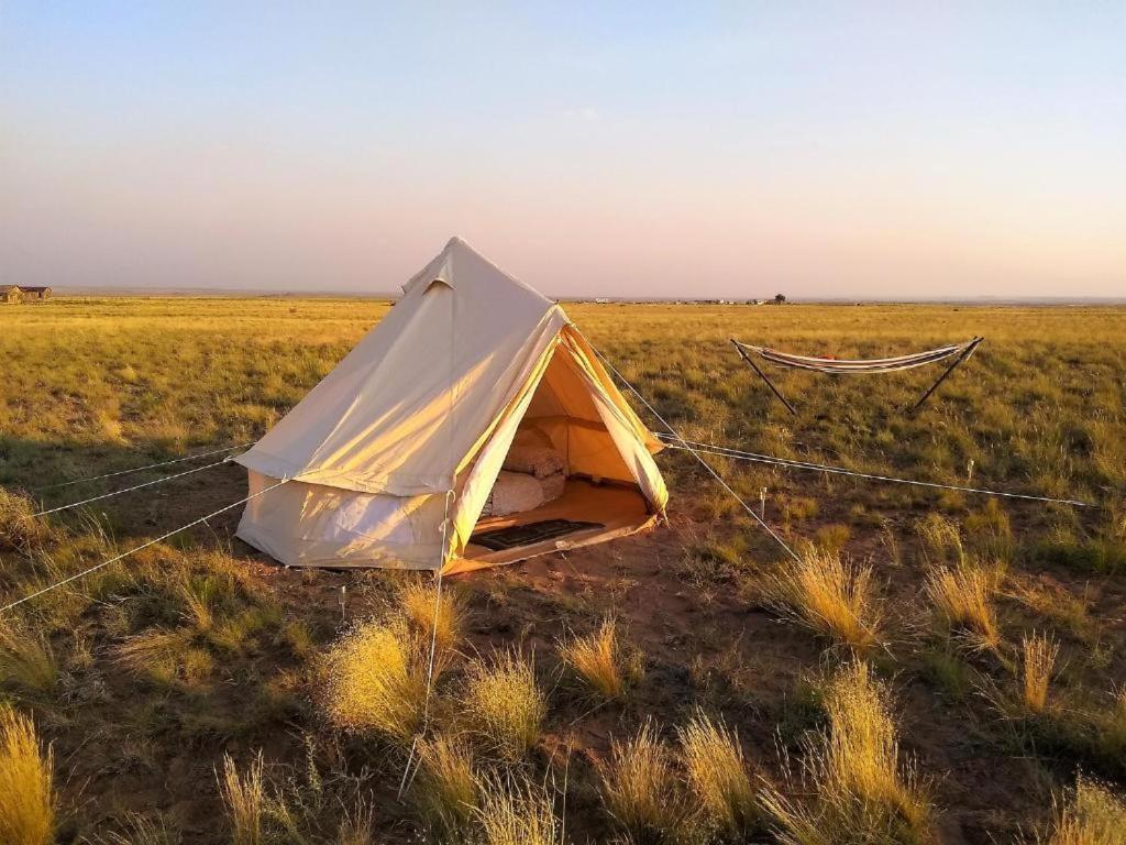Starlight Tent 3 Holbrook Dış mekan fotoğraf